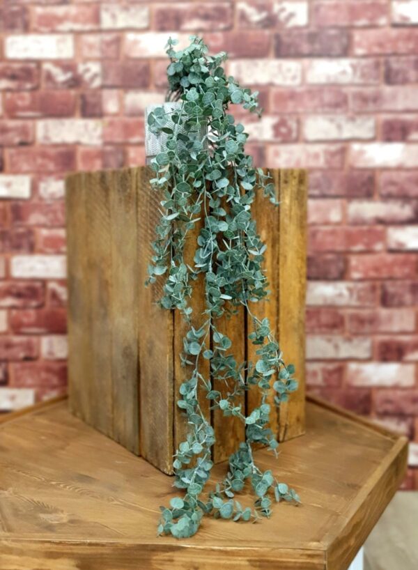 Trailing Gunni Eucalyptus Arrangement Magpies Nest